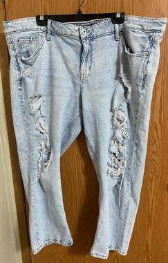 Edgely Relaxed Boyfriend Crop Mid Rise Distressed Jeans 22W